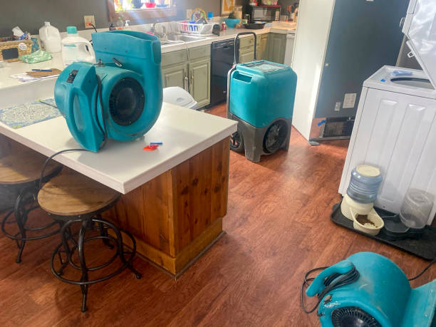  Mason, OH Water damage restoration Pros