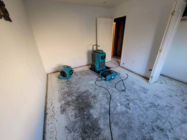 Best 24-hour water damage restoration  in Mason, OH