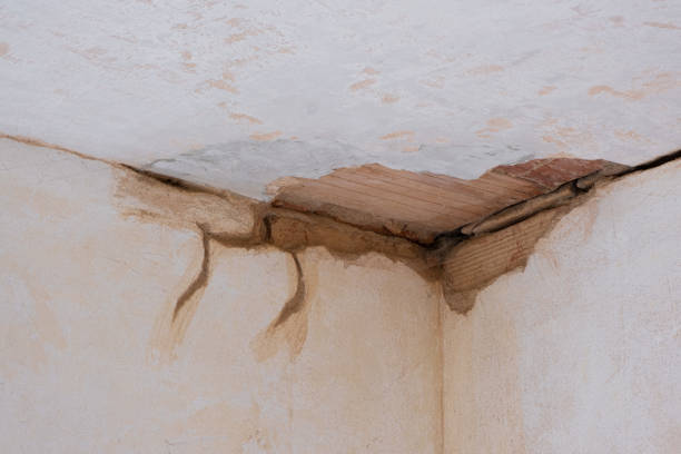 Best Flooded house restoration  in Mason, OH