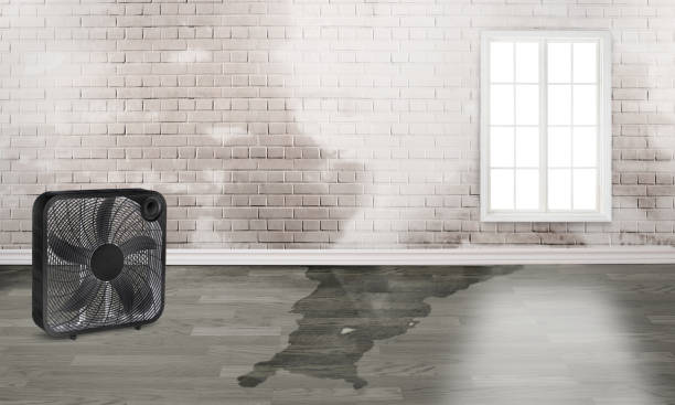 Best 24/7 water damage repair  in Mason, OH