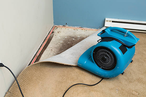 Best Basement water damage restoration  in Mason, OH